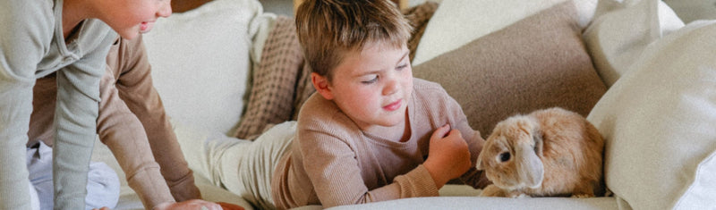 Family-Friendly Couches: What to Look for with Kids and Pets