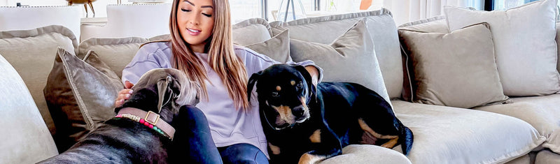 The Complete Guide to Choosing Pet-Friendly Furniture: Materials, Features & Maintenance