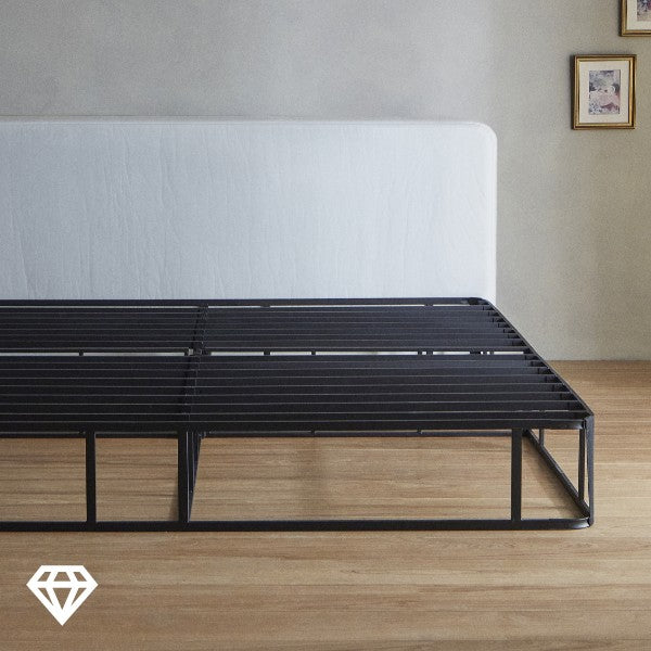 Lifetime Steel Frame.