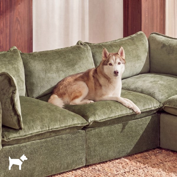 Modular 3-seater sectional in Willow fabric with a dog lounging across the sofa, highlighting pet-friendly comfort and durable washable upholstery.